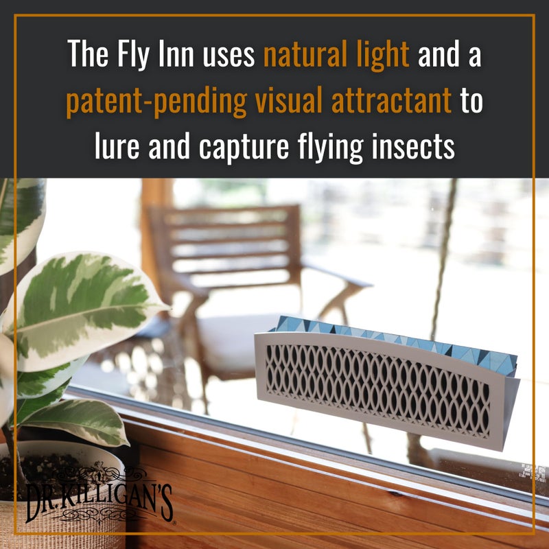 Dr. Killigan's The Fly Inn Replacements - Replacement Traps for The Fly Inn (6 Insert Refills) - Image 5